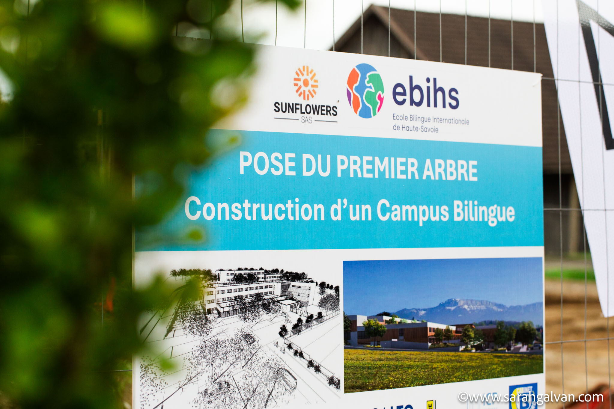 Lire la suite à propos de l’article Campus Sunflowers