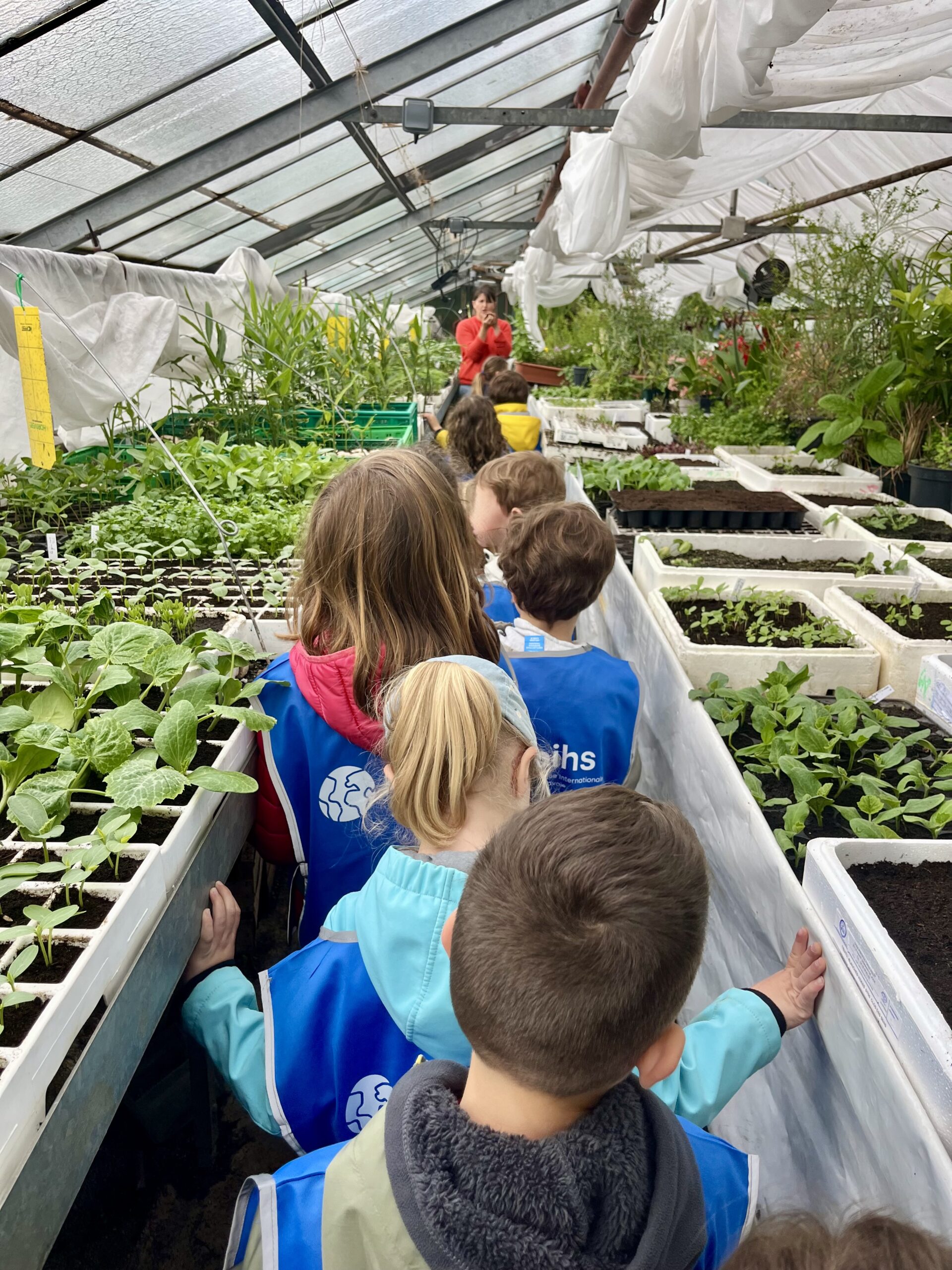 Read more about the article Our Grande Section students visit “Ceux Qui Sèment” farm!
